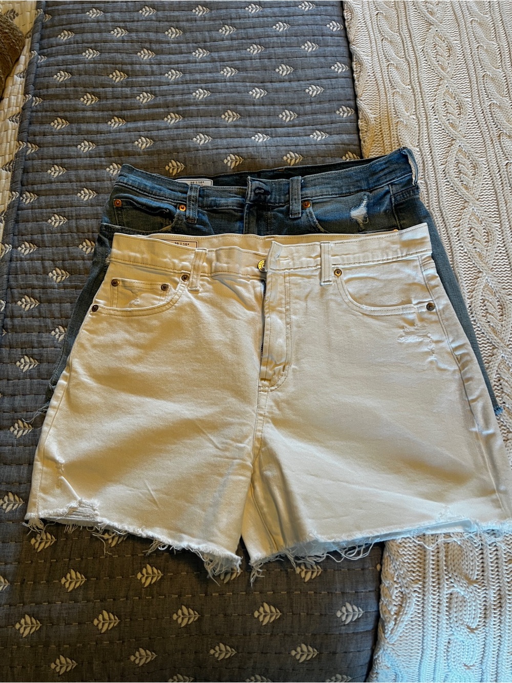 Lot of 2: Gap High Rise Denim Shorts - Size 30 / 10R (4" Inseam)